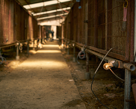 cfaf,advertising,Korea,Seoul,photographer,Manchul Kim,포토그래퍼,사진작가,사진가